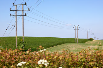 Power line fields This image is a landscape photograph capturing a rural agricultural scene in the afternoon during spring. The main subject of the image is a series of power lines supported by wooden utility poles that stretch across open fields. The fields, exhibiting varying shades of green typical of spring growth, are indicative of an agricultural environment. The clear blue sky and bright sunlight further emphasize the season and time of day. The composition displays the integration of infrastructure, specifically power lines, within a rural agricultural landscape during the spring.